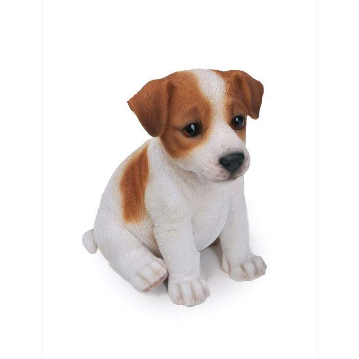 Jack clearance russell gifts