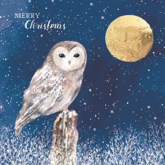 Moonlight Owl Christmas Cards