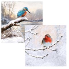 Frosty Perches Cards