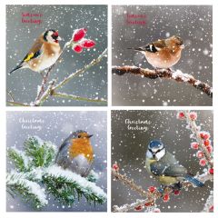 Birds In The Snow Bumper Box