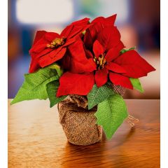 Poinsettia Floral Arrangement