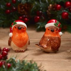 Festive Robin Salt & Pepper Set