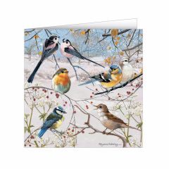 Winter Birds & Berries Cards