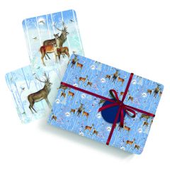 Winter Visitor Wrap & Card Set