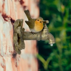 Robin on Garden Tap