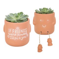 If Friends Plant Pot Pal