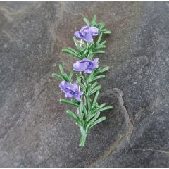 Rosemary Brooch