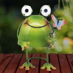 Solar-Powered Frog Light