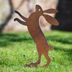 Dancing Garden Hare