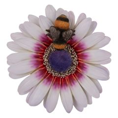 Hanging Zulu Daisy Bee