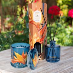 Paradise Candle and Diffuser Set